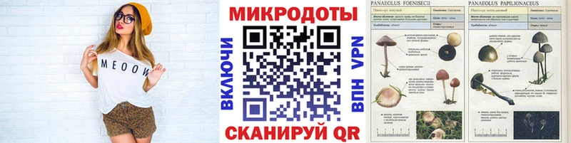 Псилоцибиновые грибы прущие грибы  Иркутск 